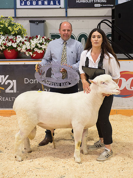 Supreme Champion Ram at 2019 All Canada Sheep Classic